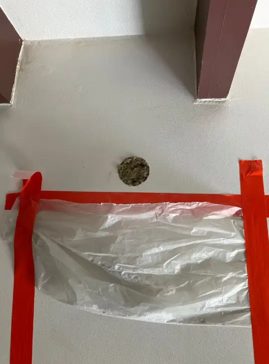 Finition placo sur cloison isolée